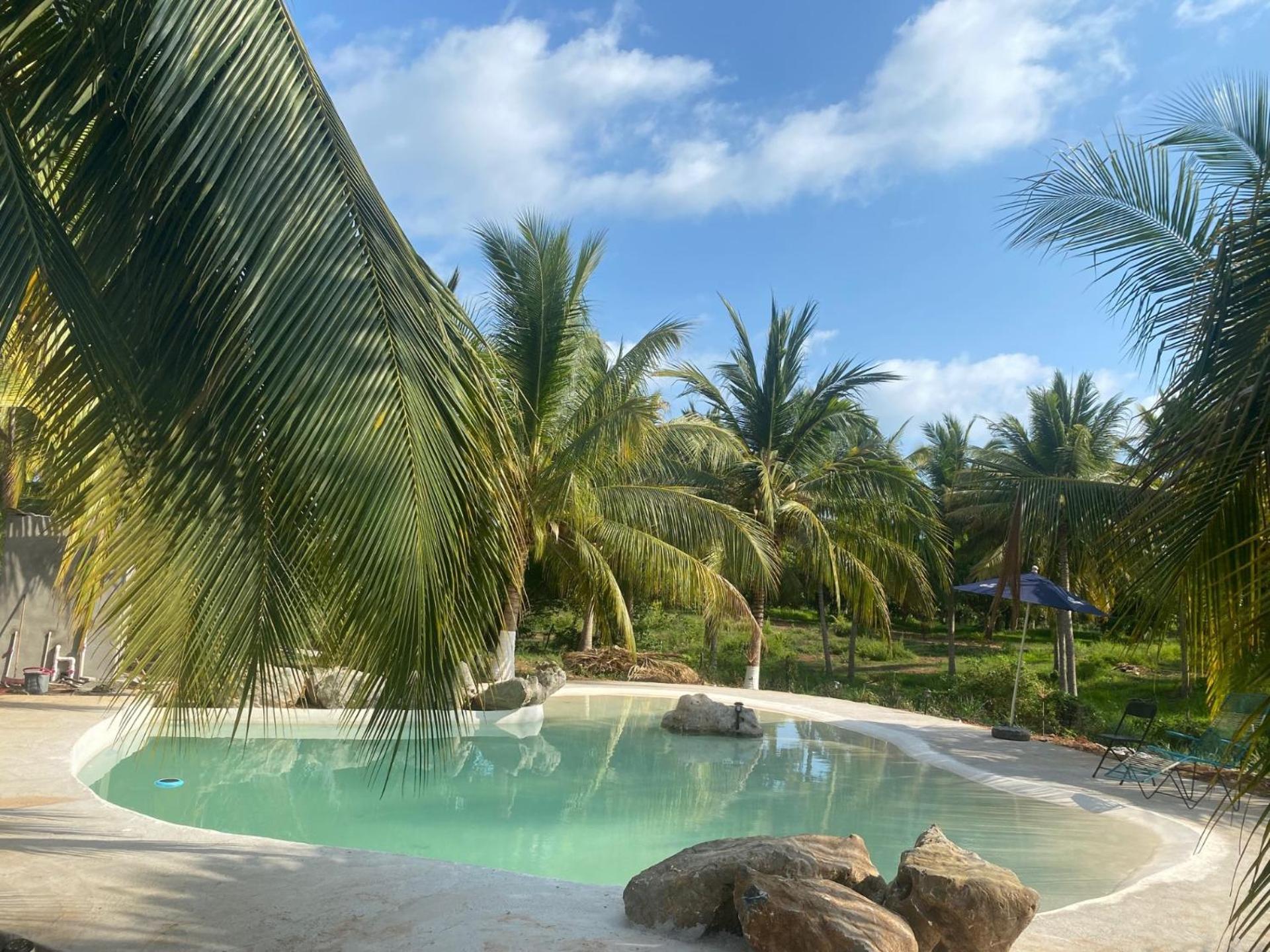 Casa Las Palmas Playa La Saladita Сиуатанехо Екстериор снимка